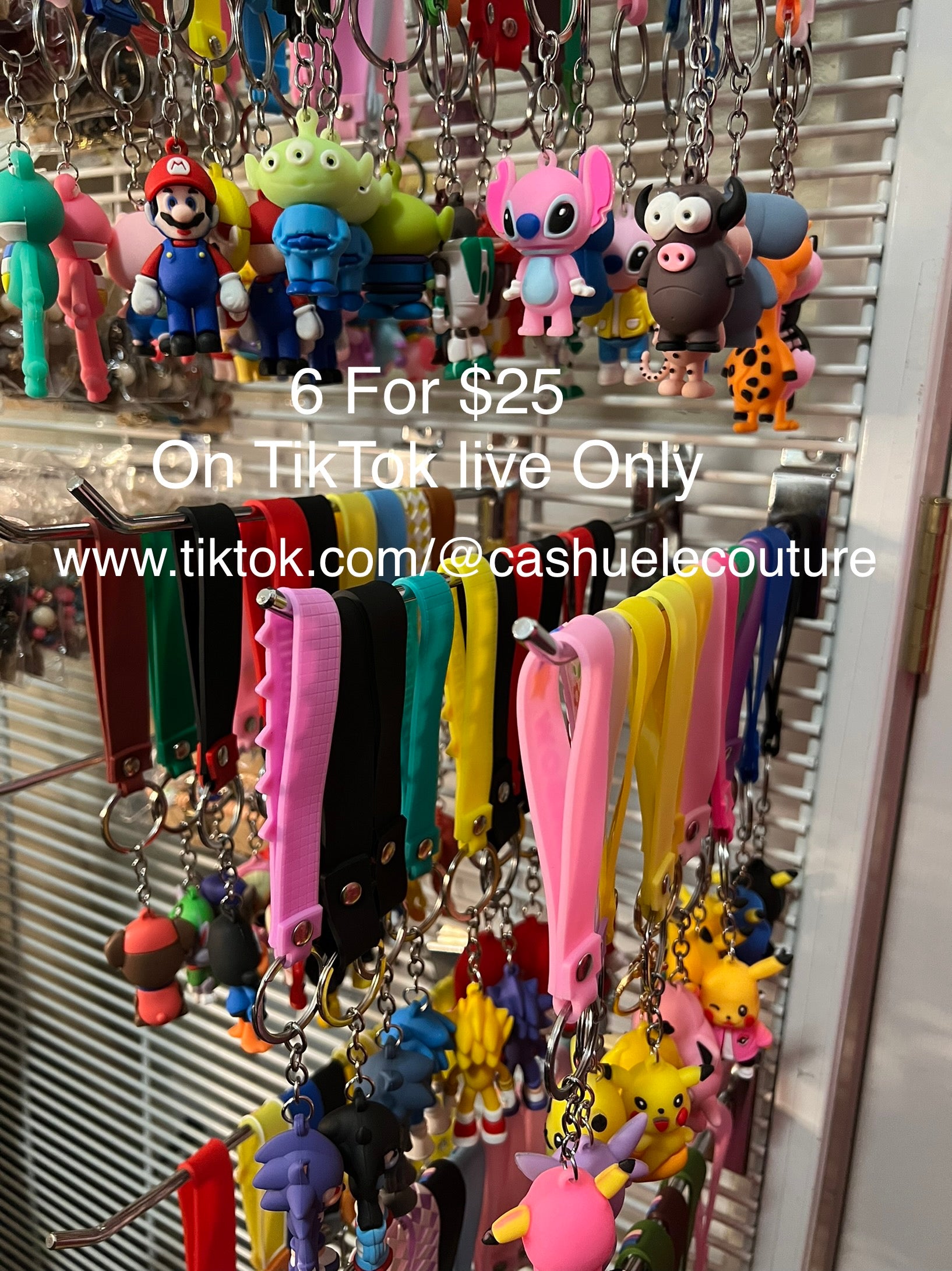 6 for $25.00 keychains (On live Only)